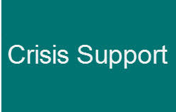 A girl holding a sign that says racism is also a pandemic.