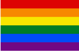 The rainbow flag - a symbol of the gay community